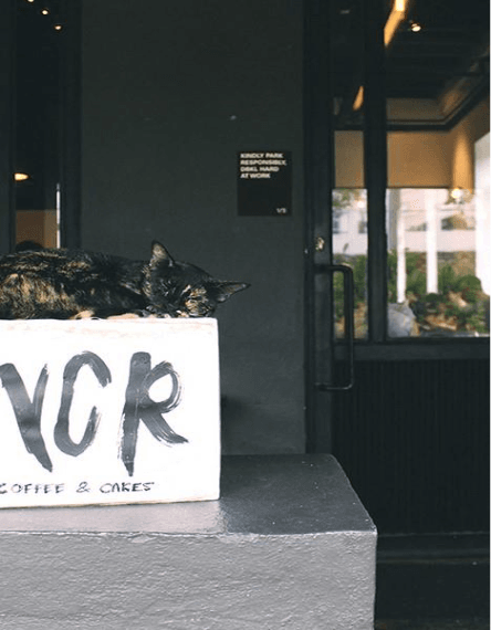 hipster cafe